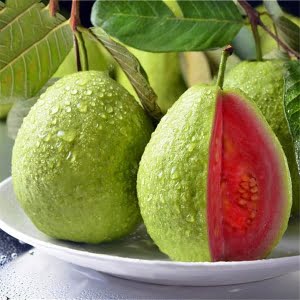 Red Guava Seeds, Fruit seeds, 30 Seeds/Pack