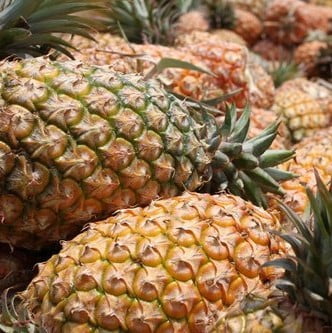 Ananas Comosus Pineapple Seeds – Tropical Fruit Plant Seeds for Garden Planting, 100 Seeds Pack
