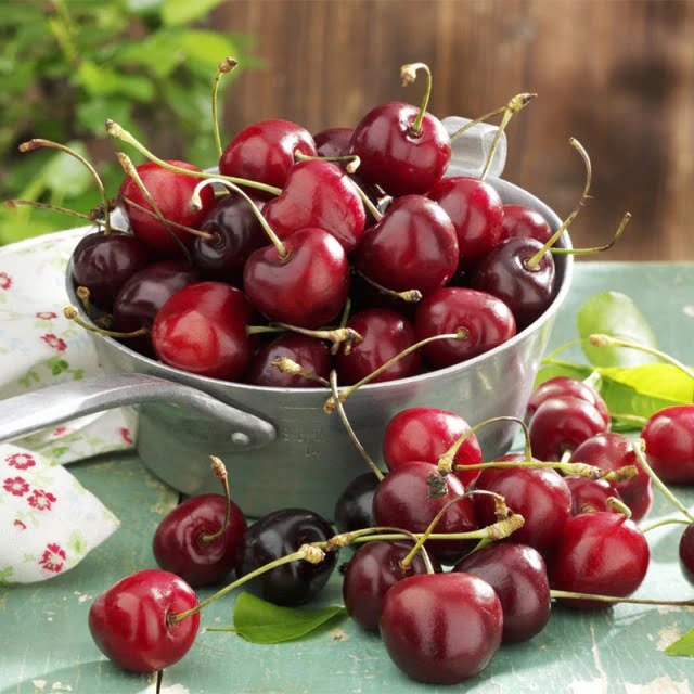 Black Cherry Seeds – Red Cherry Fruit Seeds for Planting, 20 Seeds Pack - Image 3