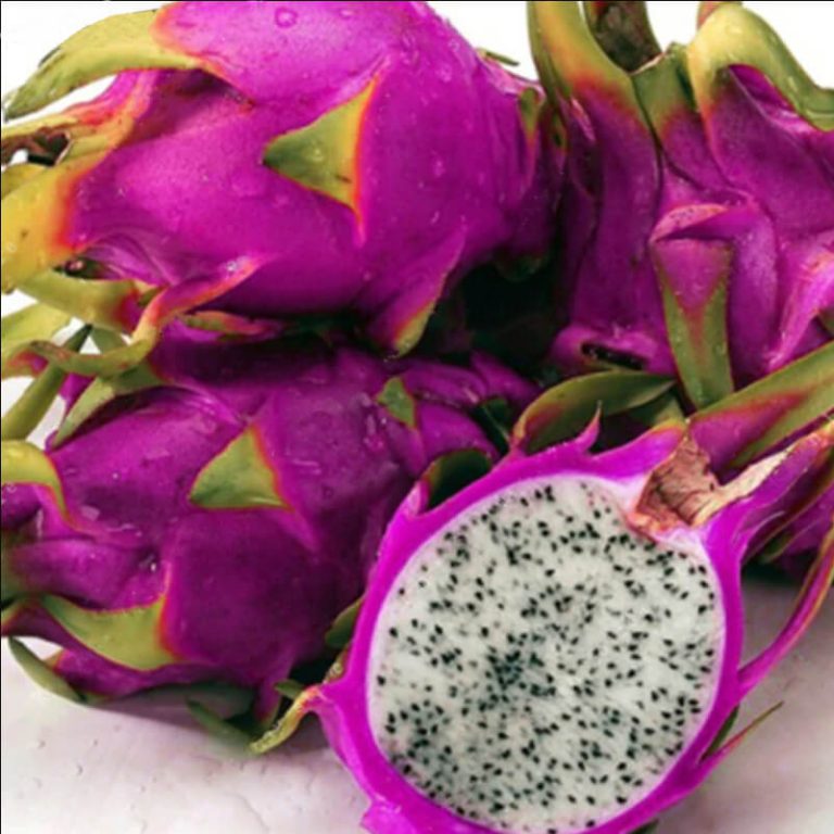 Pink Dragon Fruit Seeds – Mini Pitaya Tropical Fruit Seeds for Garden Planting, 200 Seeds Pack - Image 3