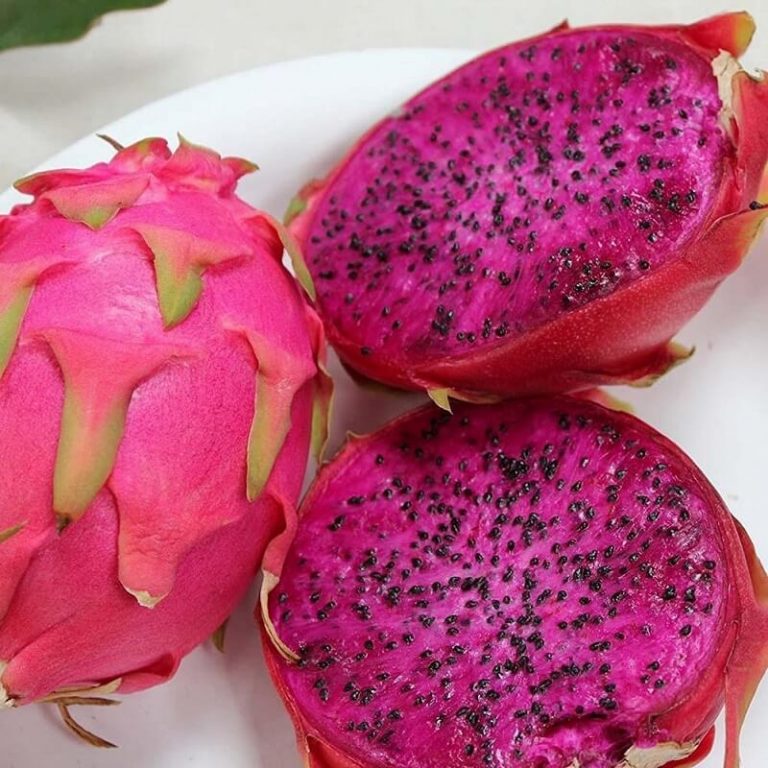 Dwarf Dragon Fruit Seeds – Bonsai Pitaya Fruit Seeds for Garden Planting, 200 Seeds Pack - Image 3