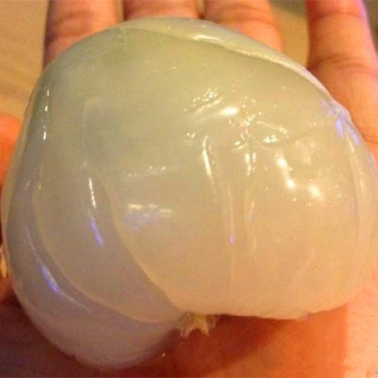 Litchi Chinensis Seeds – Giant Lychee Fruit Tree Seeds for Garden Planting, 10 Seeds Pack - Image 4