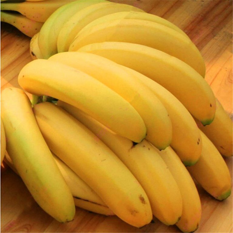 Dwarf Banana Seeds – Banana Fruit Plant Seeds for Garden Planting, 200 Seeds Pack - Image 4
