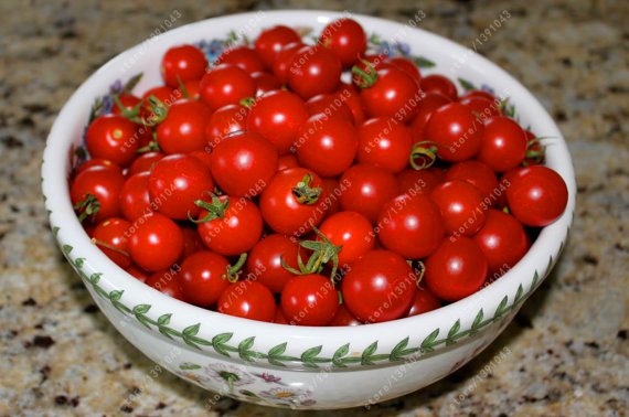 Cherry Tomato Seeds – Small Fruit Vegetable Seeds for Garden Planting, 200 Seeds Pack - Image 4