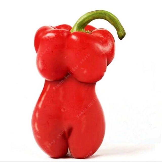 Rare Organic Chili Pepper Seeds – Vegetable Garden Seeds for Planting, 100 Seeds Pack - Image 6